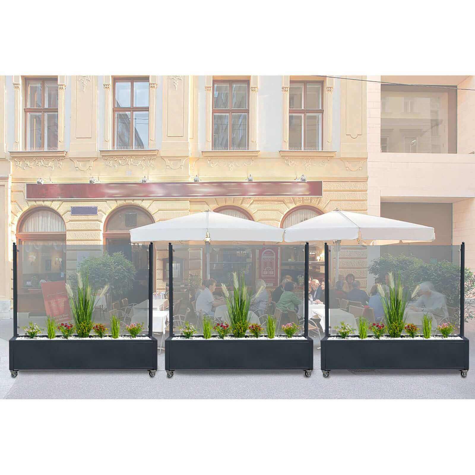 Mobiler Windschutz mit Pflanzkasten - wetterfest & rollbar - Sicherheitsglas in 150 cm & 200 cm