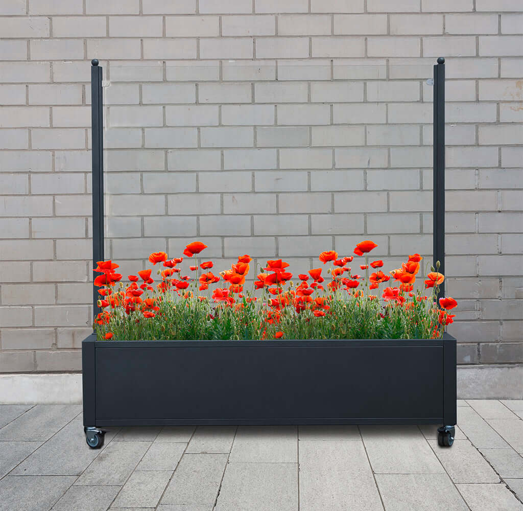 Mobiler Windschutz mit Pflanzkasten - wetterfest & rollbar - Sicherheitsglas in 150 cm & 200 cm