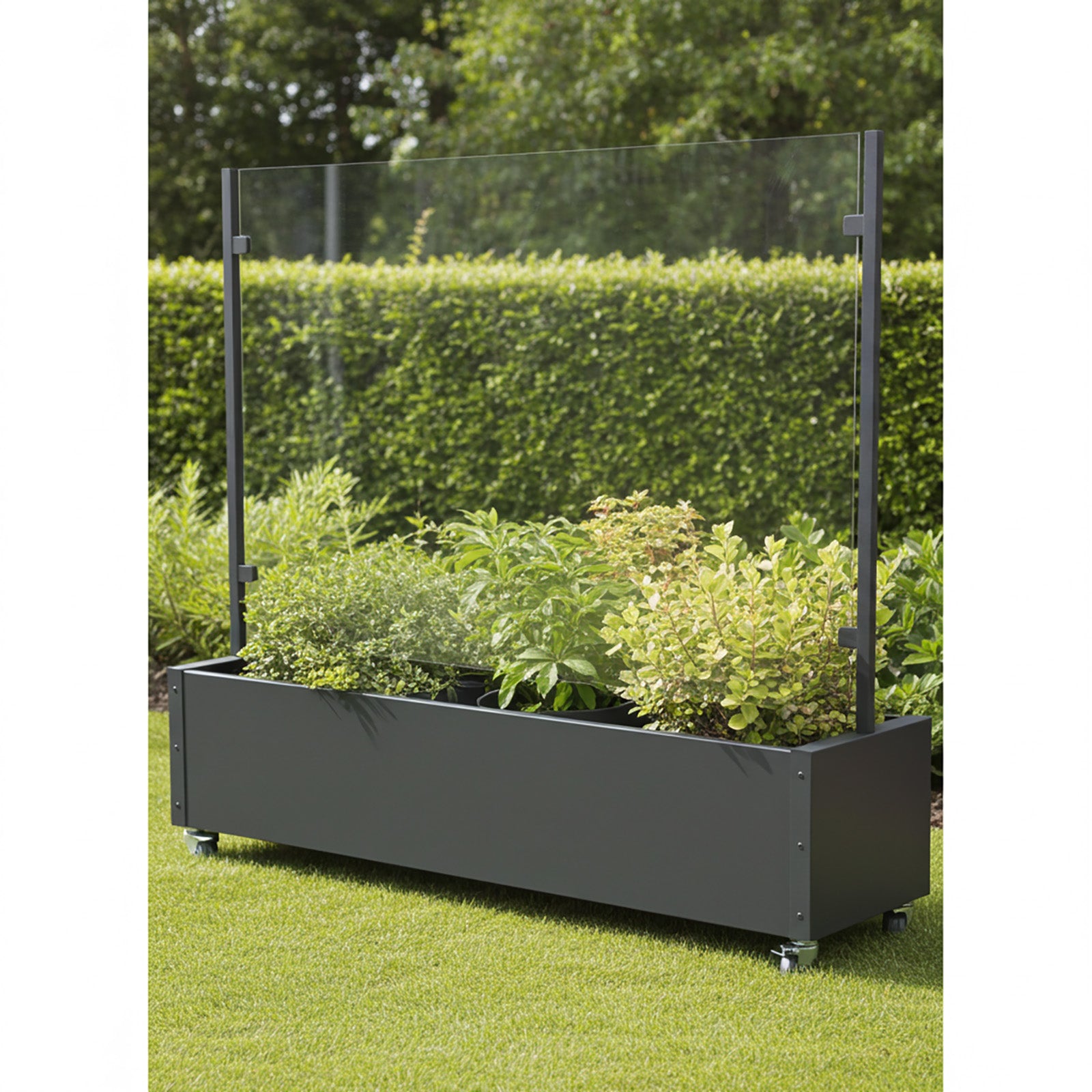 Mobiler Windschutz mit Pflanzkasten ca.200cm Sicherheitsglas Made in Germany